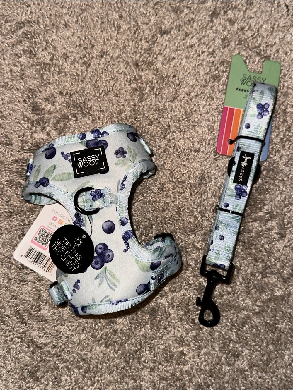 Sassy Woof Blueberry Print Padded Dog Harness & Leash Set